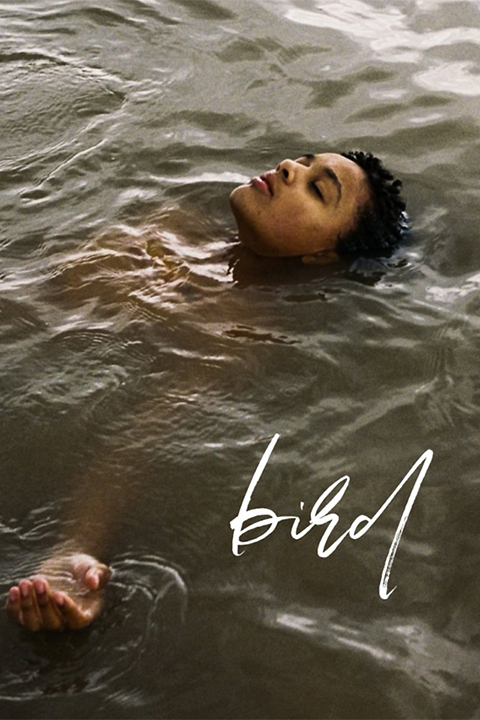 Bird (2024) [372731] (A1750733894) [[Movies]] --Plex--